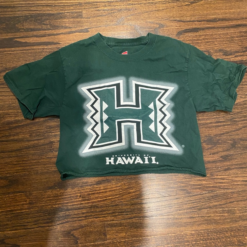 University of Hawaii cropped T-shirt, size small